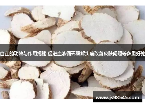 白芷的功效与作用揭秘 促进血液循环缓解头痛改善皮肤问题等多重好处