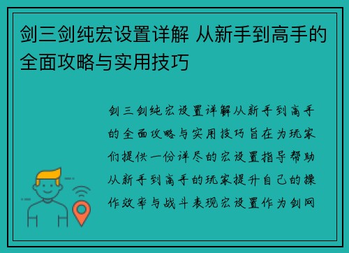 剑三剑纯宏设置详解 从新手到高手的全面攻略与实用技巧